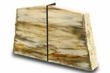 Tall, Colorful Petrified Wood Bookends - Washington #274845-1